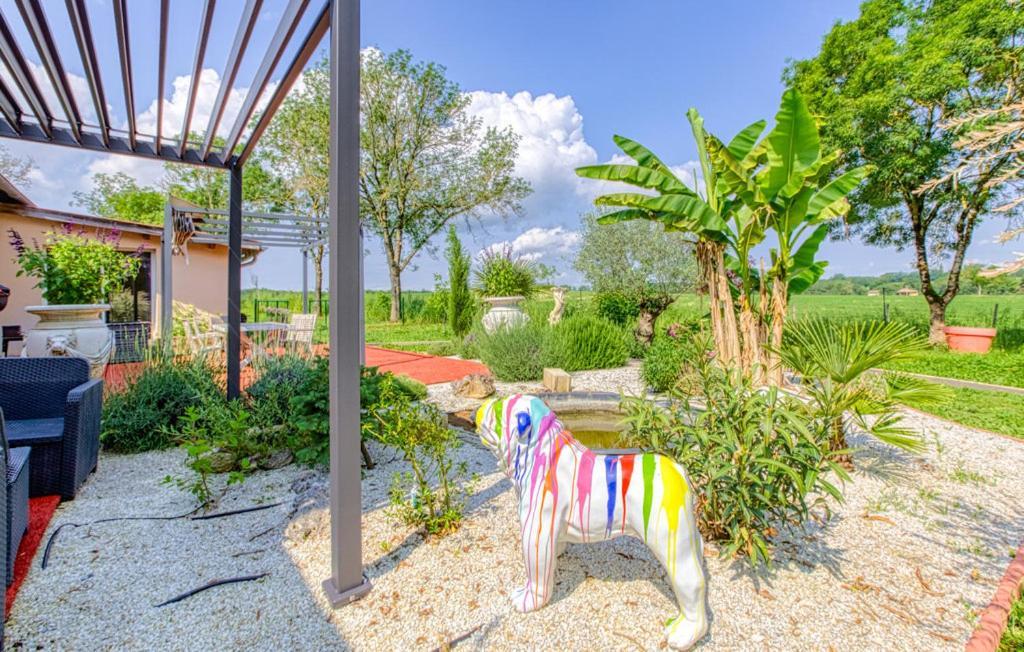 Studio Du Daudou Septfonds Luaran gambar